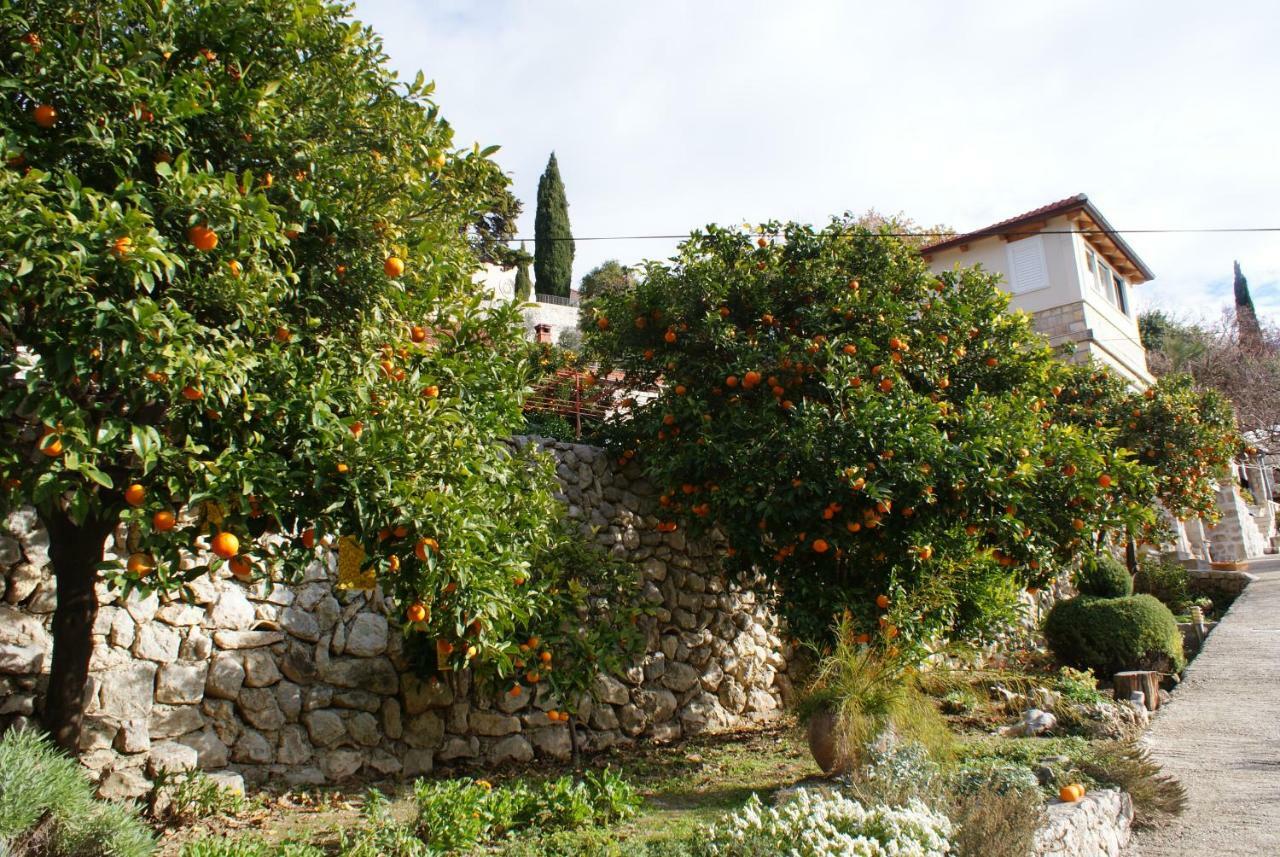 Ferienwohnung Three Oranges Trsteno Exterior foto