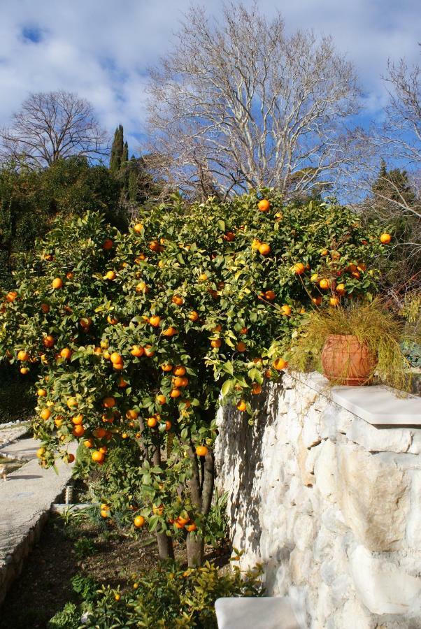 Ferienwohnung Three Oranges Trsteno Exterior foto